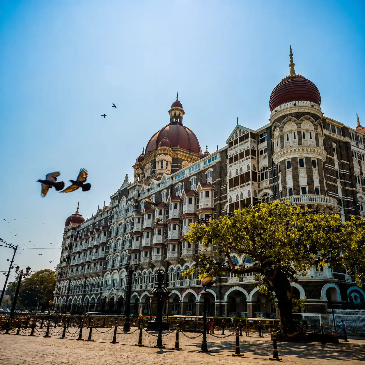 frankly-mumbai-tours-taj